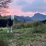Park Elterwater