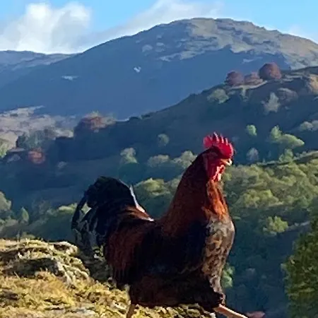 Park 4* Elterwater