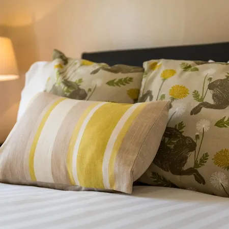 بيت ضيافة Park