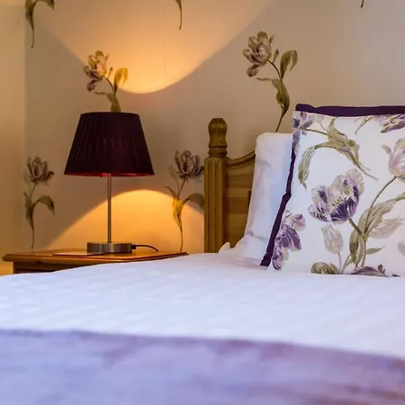Guest house Park 4*
